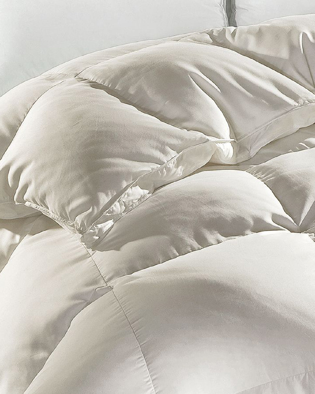 Cloud Bed Goose Down Comforter