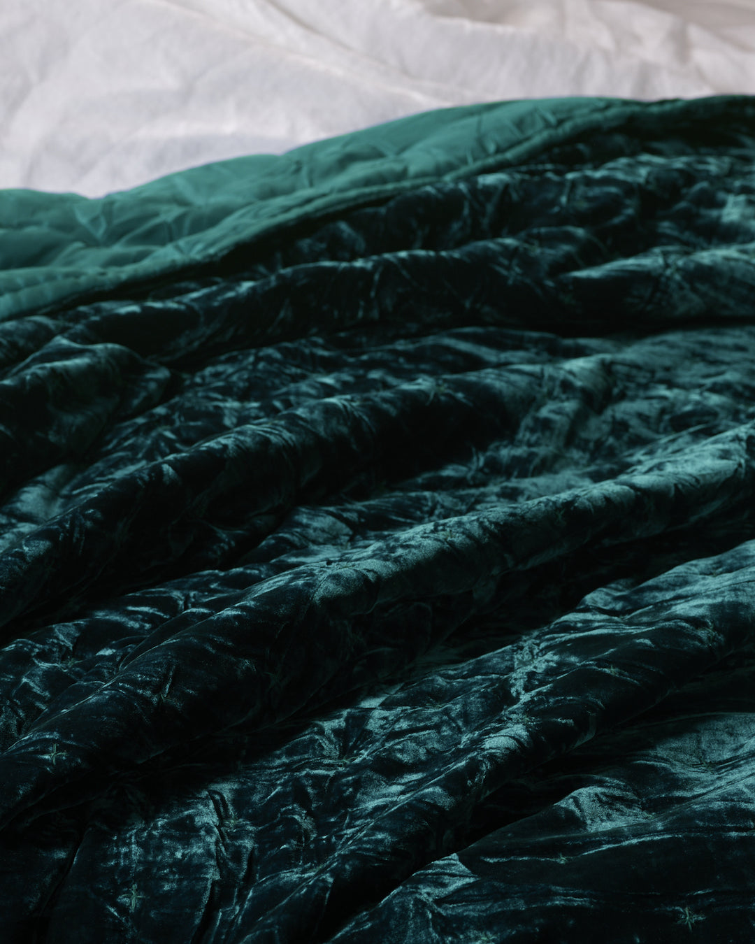 Teal velvet blanket online
